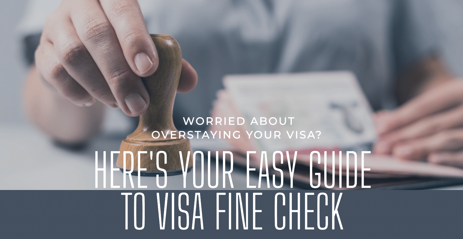 How to do a Visa Fine Check?